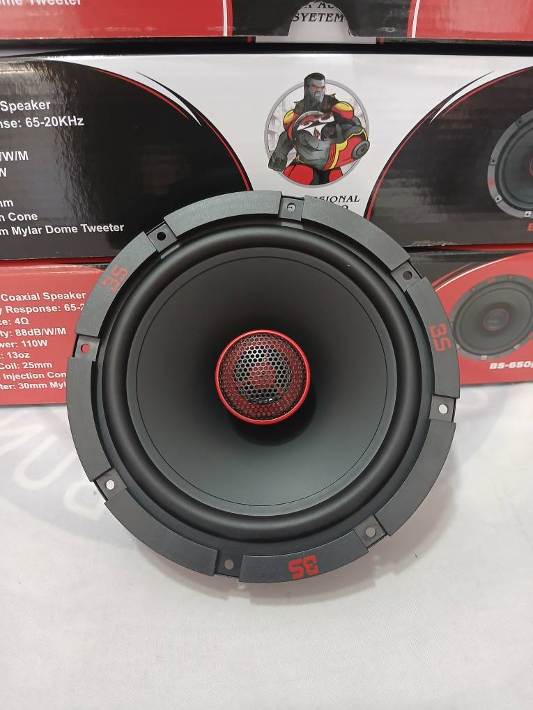باند 6 اینچ BS مدل 650PRO(اقساط 4 ماهه)